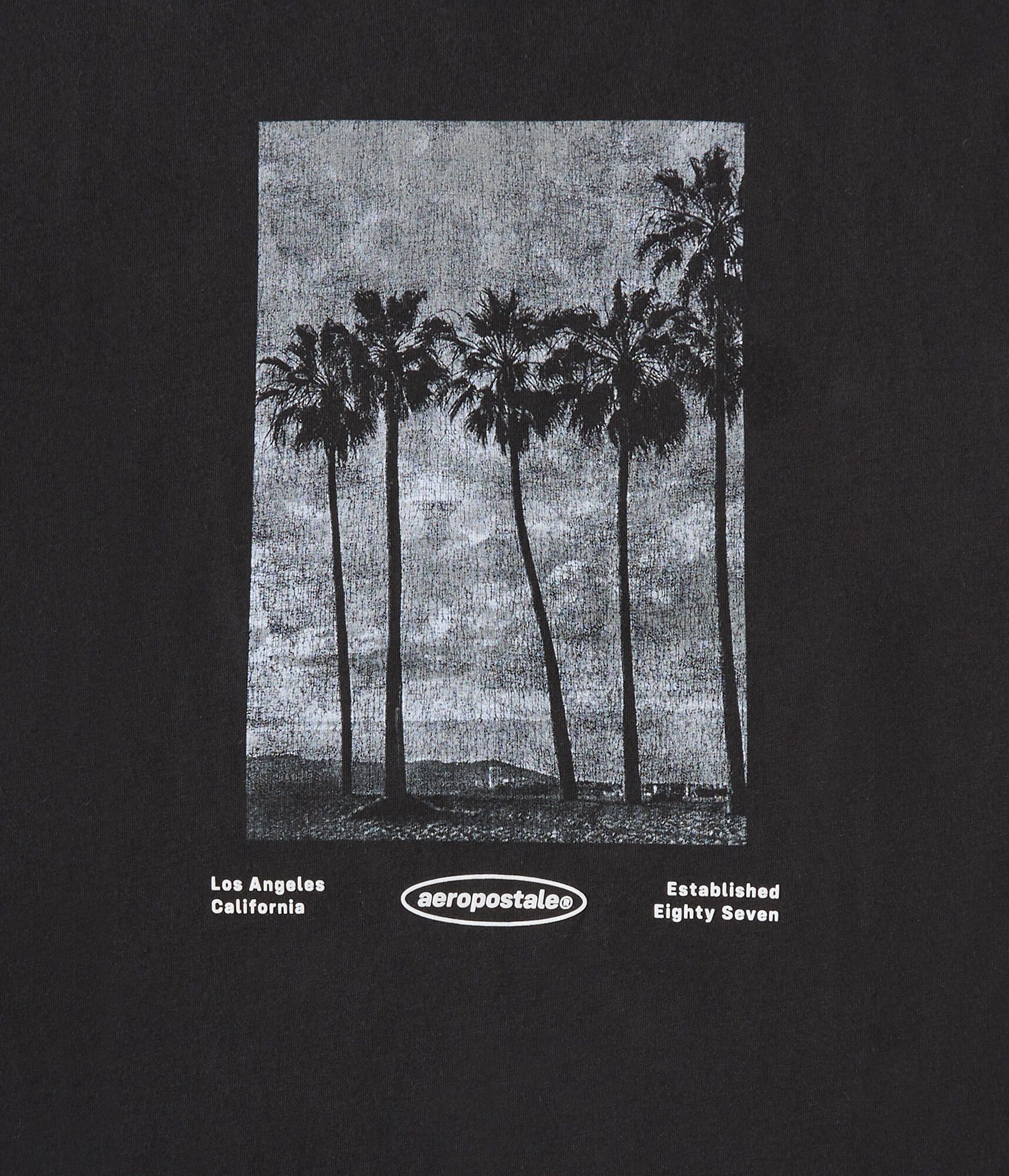 Aeropostale Palm Trees Graphic Tee