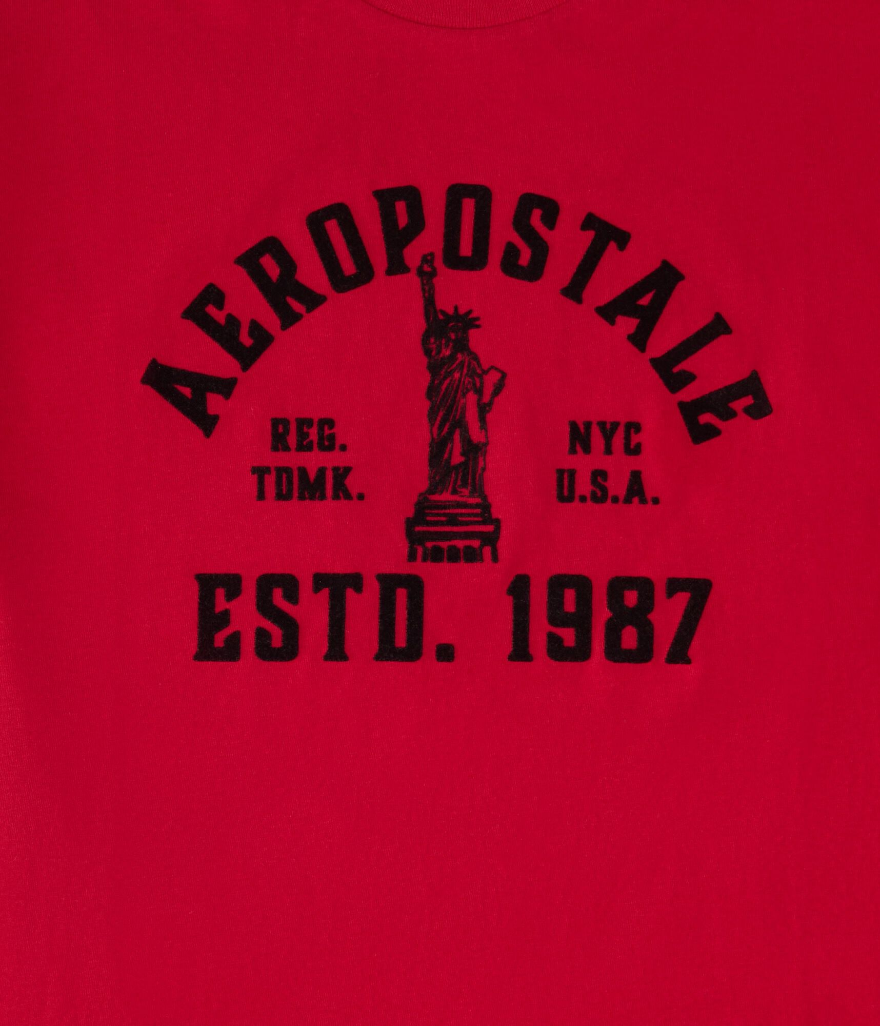 Aeropostale Liberty Flocked Graphic Tee