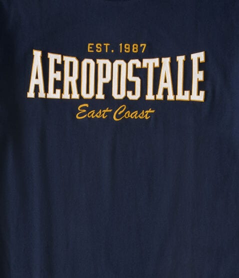 Aeropostale East Coast Appliqué Graphic Tee Aeropostale East Coast Appliqué Graphic Tee