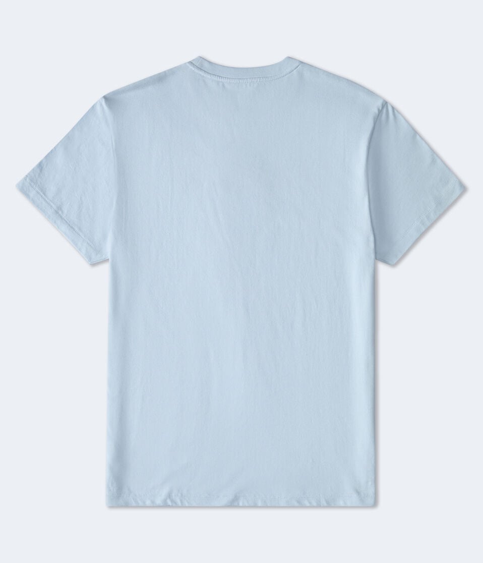 Aeropostale Authentic Logo Flocked Graphic Tee