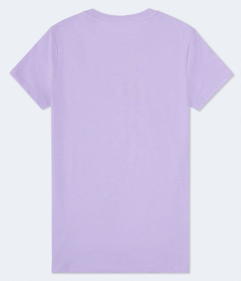 Aeropostale Glitter Rose Graphic Tee