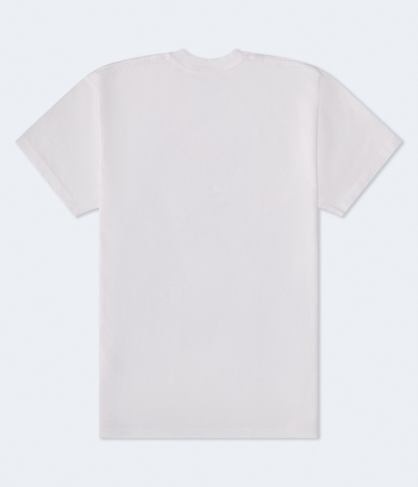 Godzilla Relaxed Graphic Tee