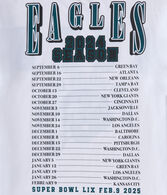 Philadelphia Eagles Super Bowl Boxy Graphic Tee