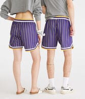 Los Angeles Lakers Pinstripe Mesh Shorts 6.25"
