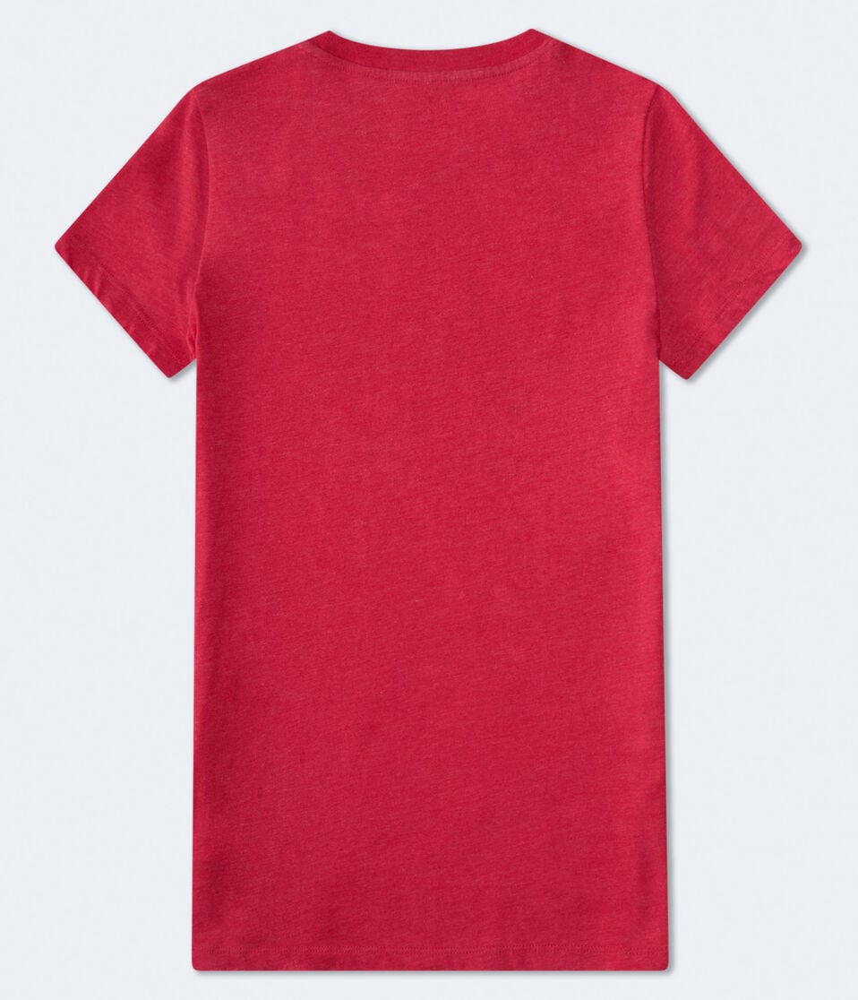 Aero Script Butterfly Foil Graphic Tee