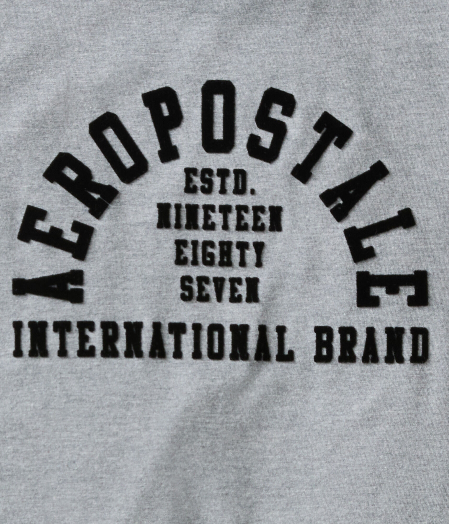 Aeropostale Arch Flocked Graphic Tee