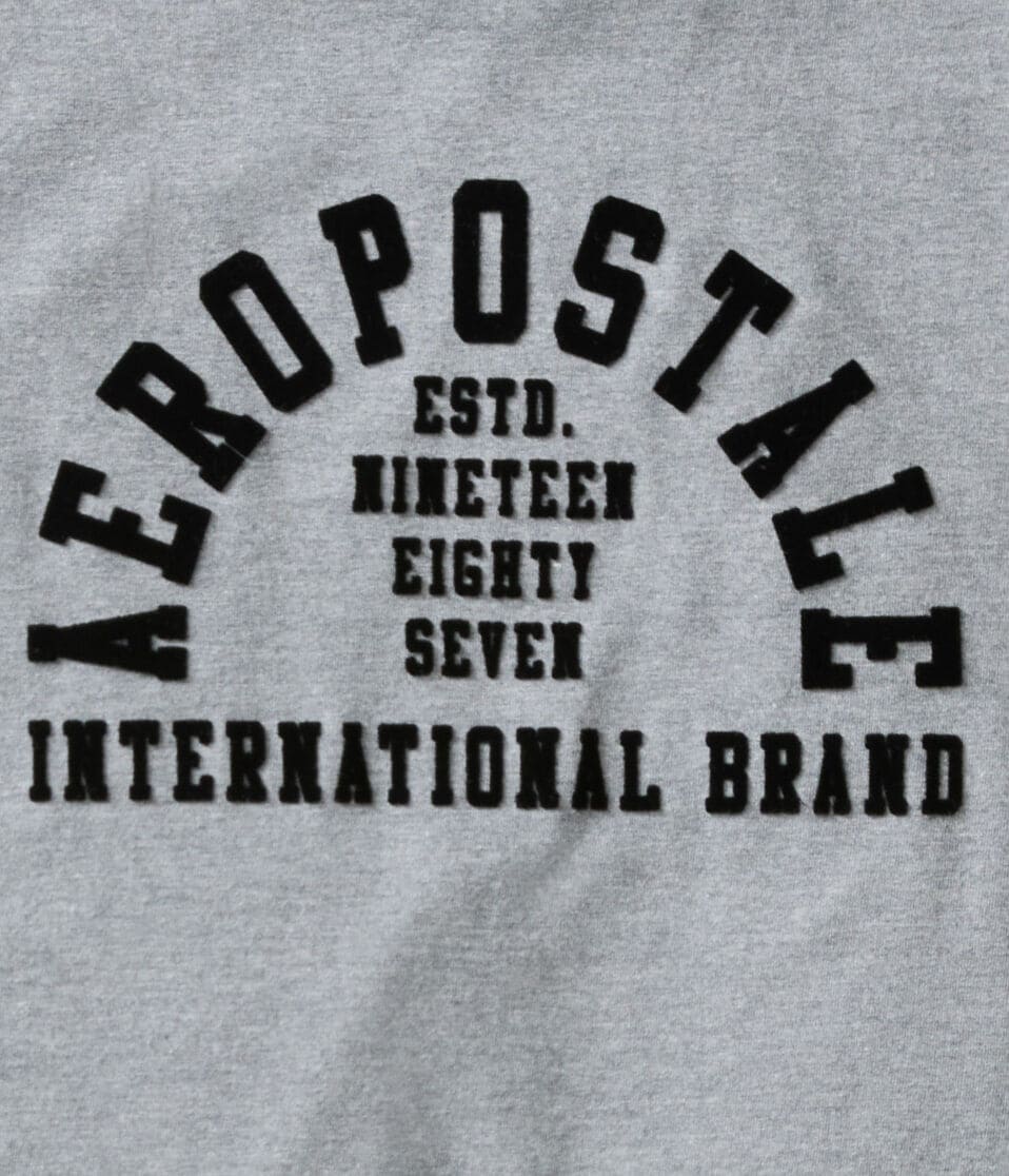 Aeropostale Arch Flocked Graphic Tee