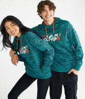 Miami Dolphins Pullover Hoodie