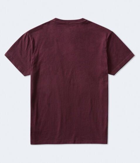 Aero Athletic Crest Graphic Tee