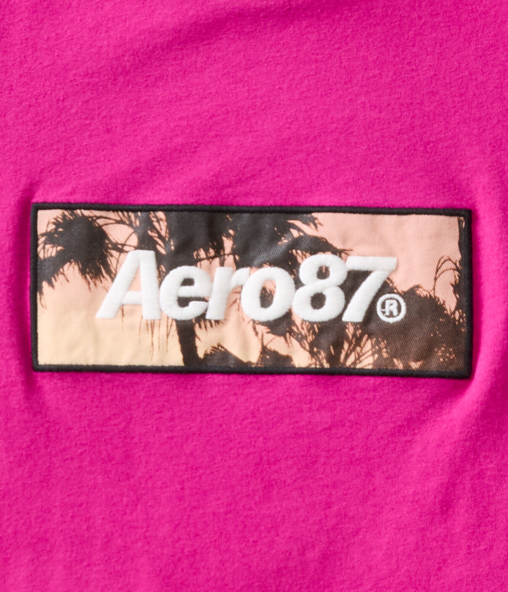 Aero87 Palm Tree Box Logo Graphic Tee