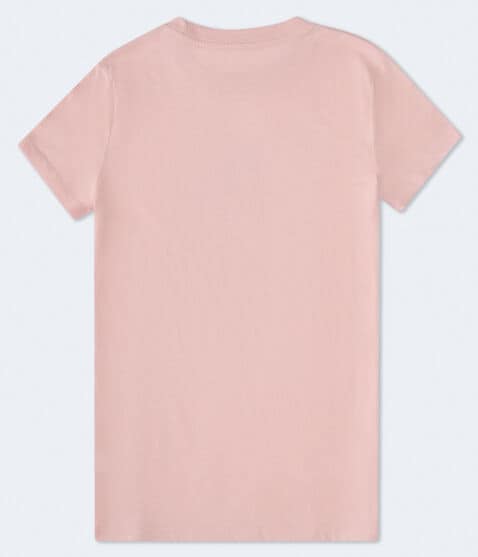 Aero 87 Palm Sunset Foil Graphic Tee