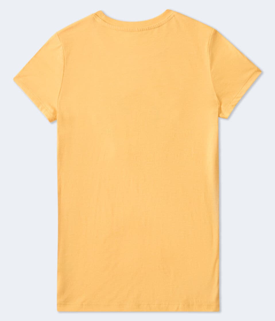 Aeropostale West Coast Appliqué Graphic Tee