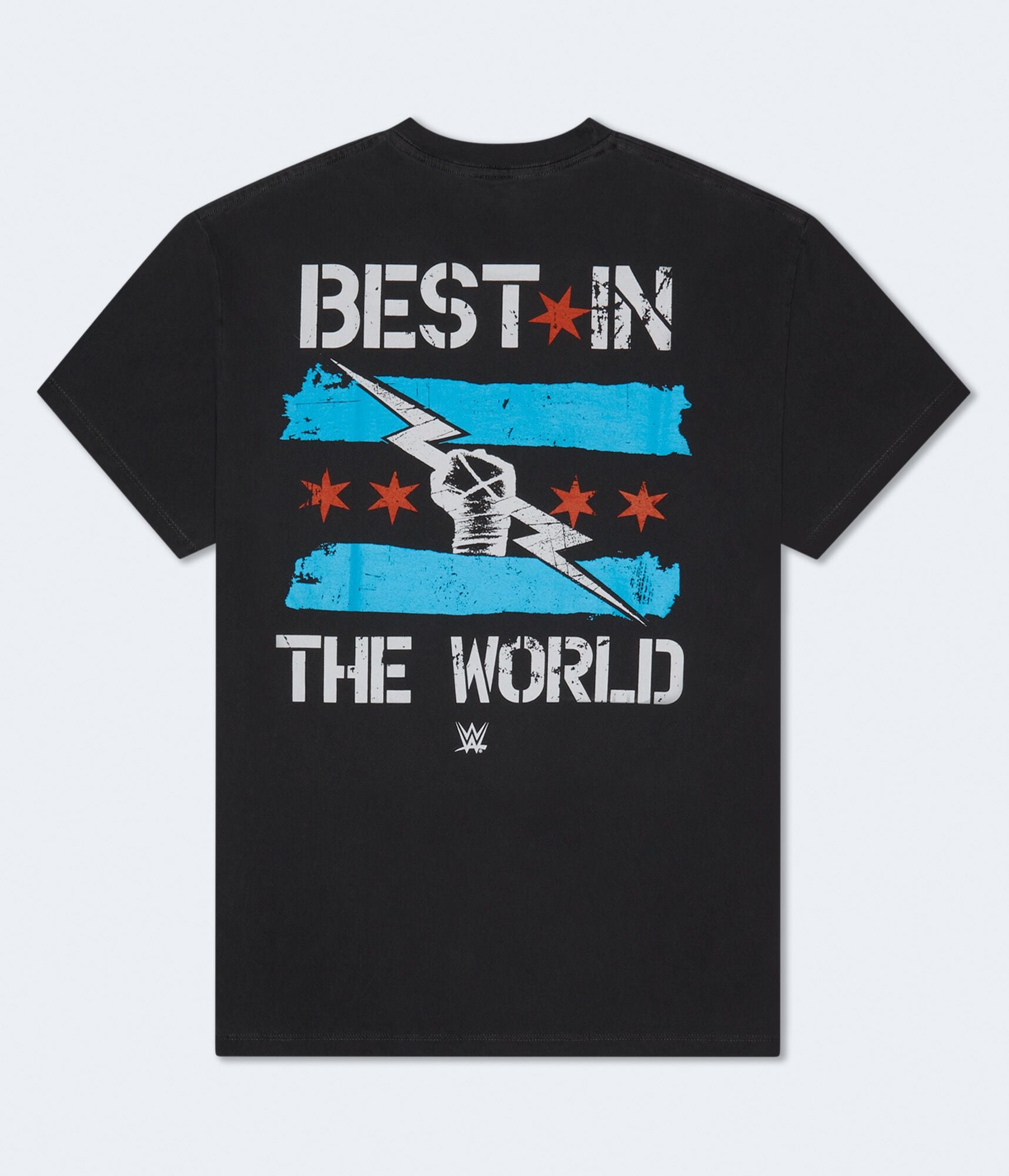 WWE CM Punk Relaxed Graphic Tee