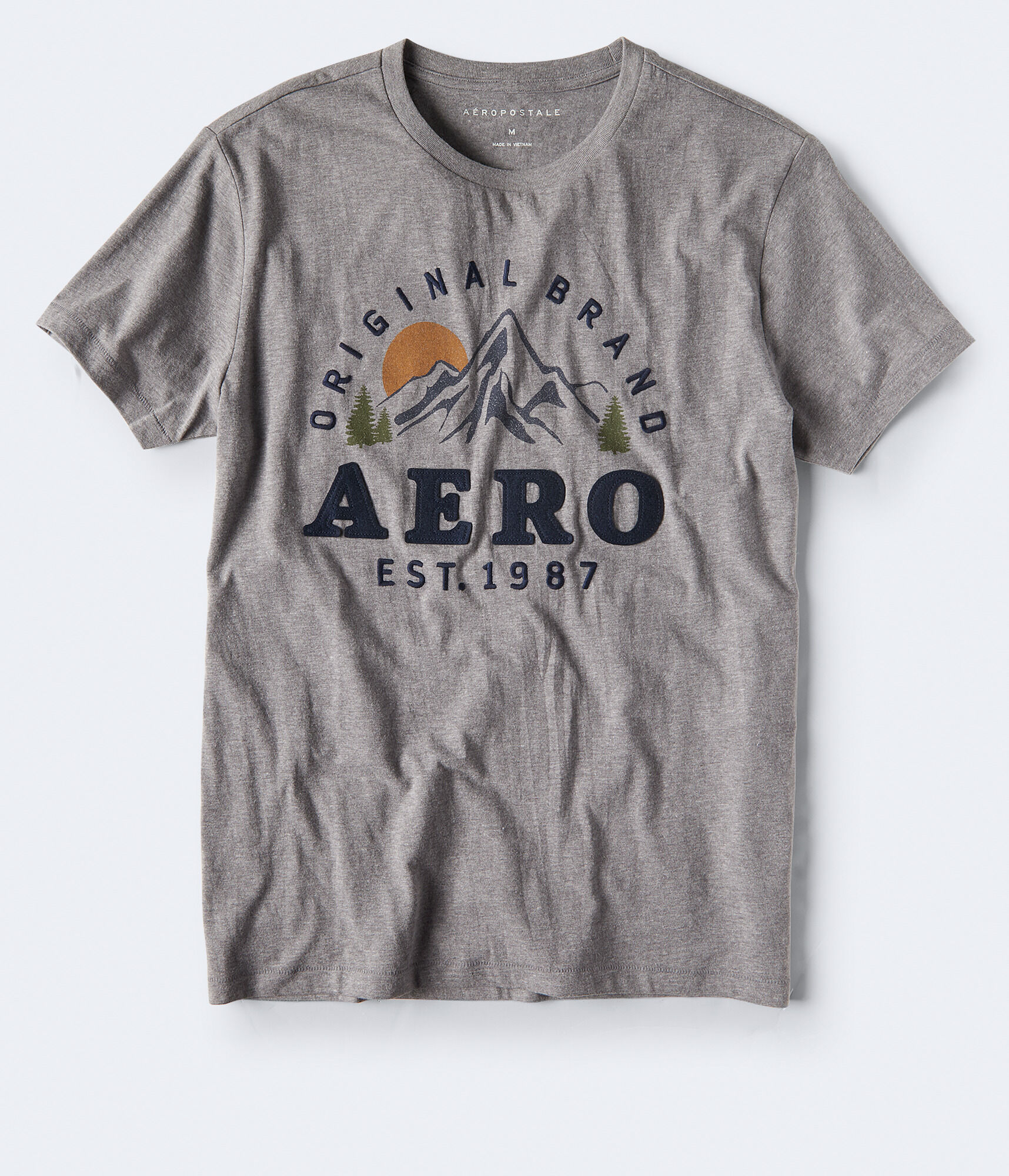 Aero Original Brand Mountain Graphic Tee