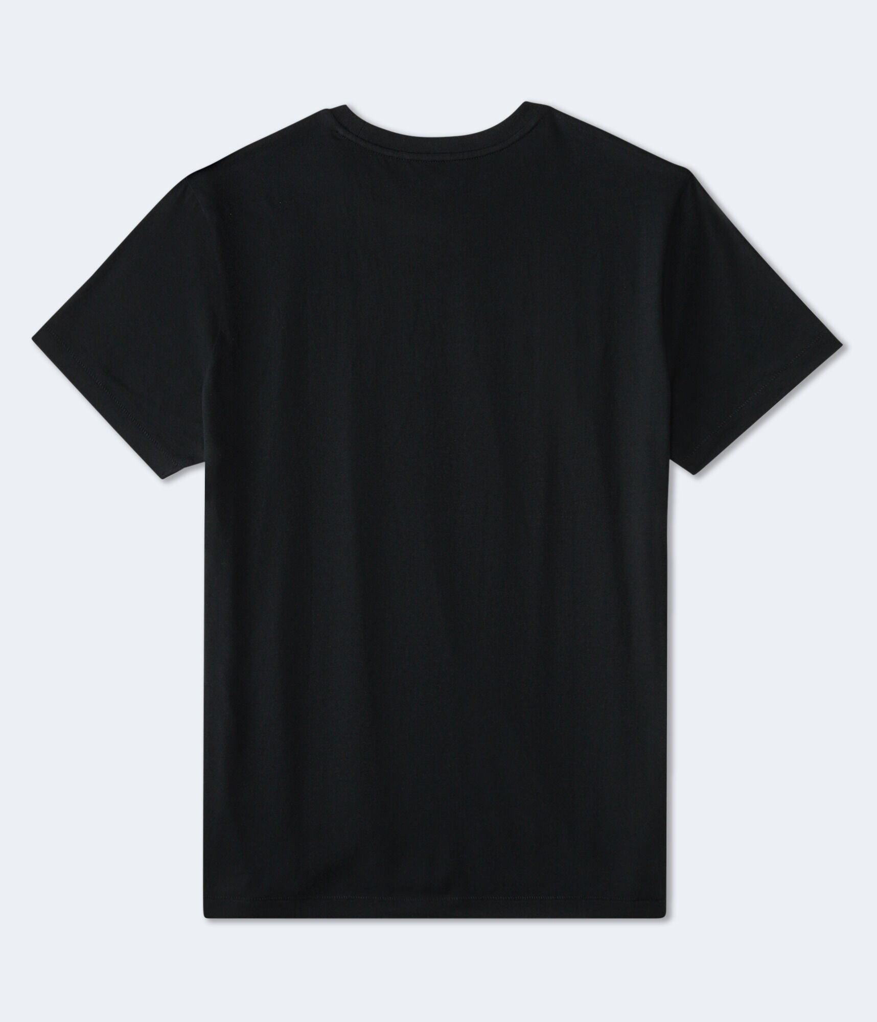 Aeropostale Shield Crest Graphic Tee