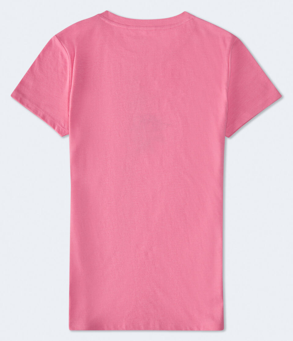 Aero 87 Rose Appliqué Graphic Tee