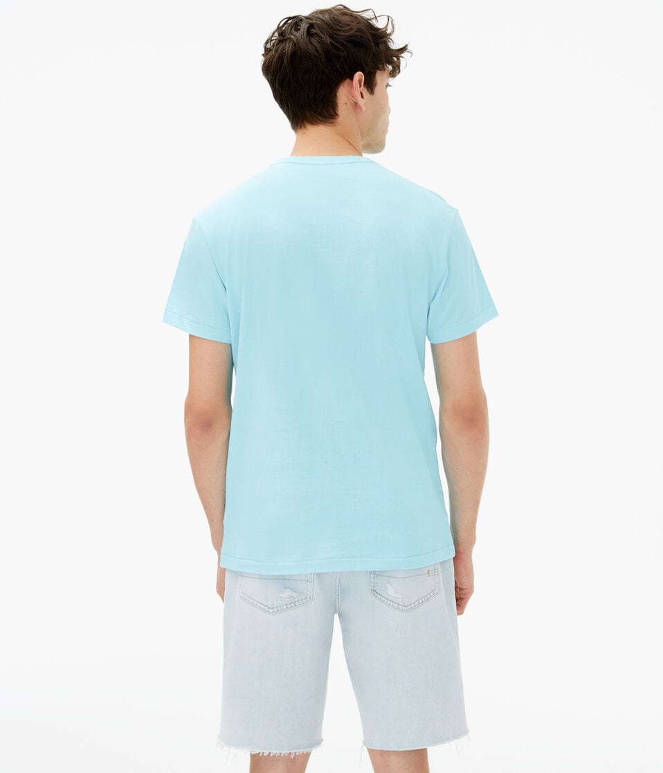 Aeropostale USA Appliqué Graphic Tee