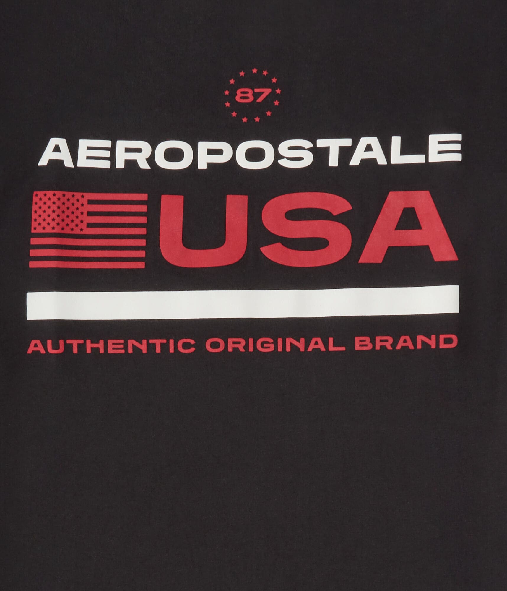 Aeropostale USA Flag Graphic Tee