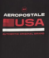Aeropostale USA Flag Graphic Tee