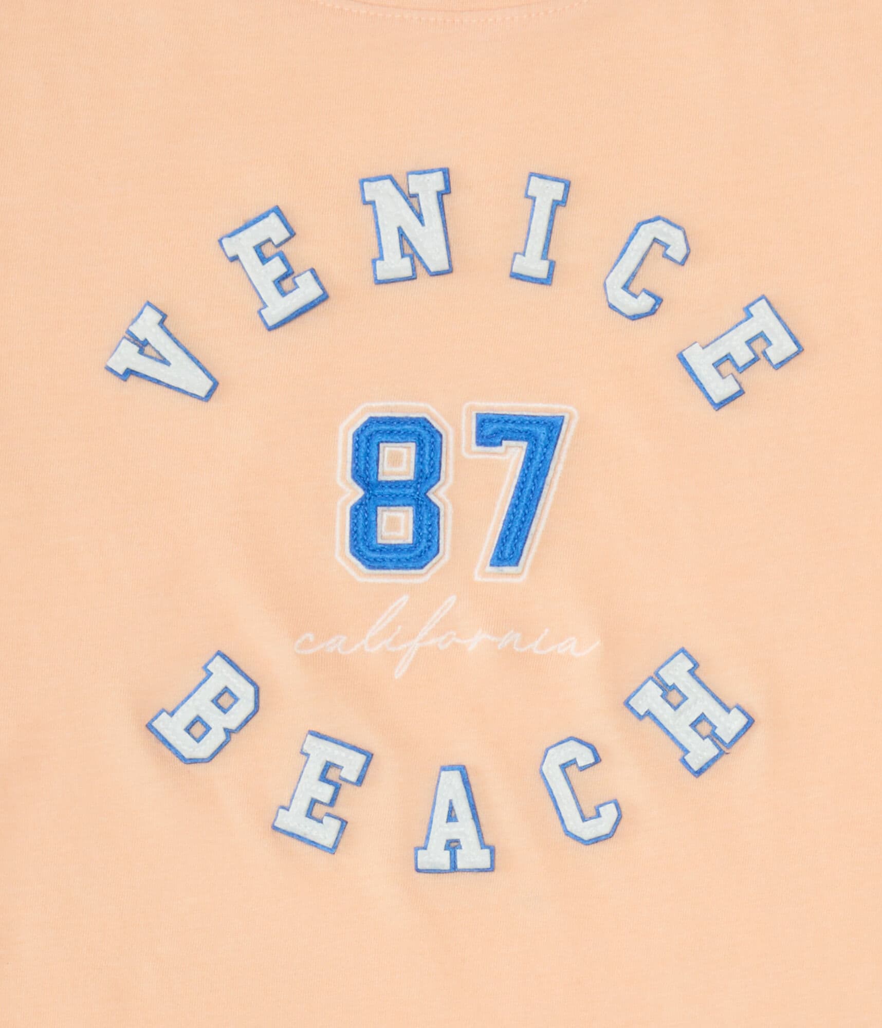 Venice Beach 87 Appliqué Graphic Tee
