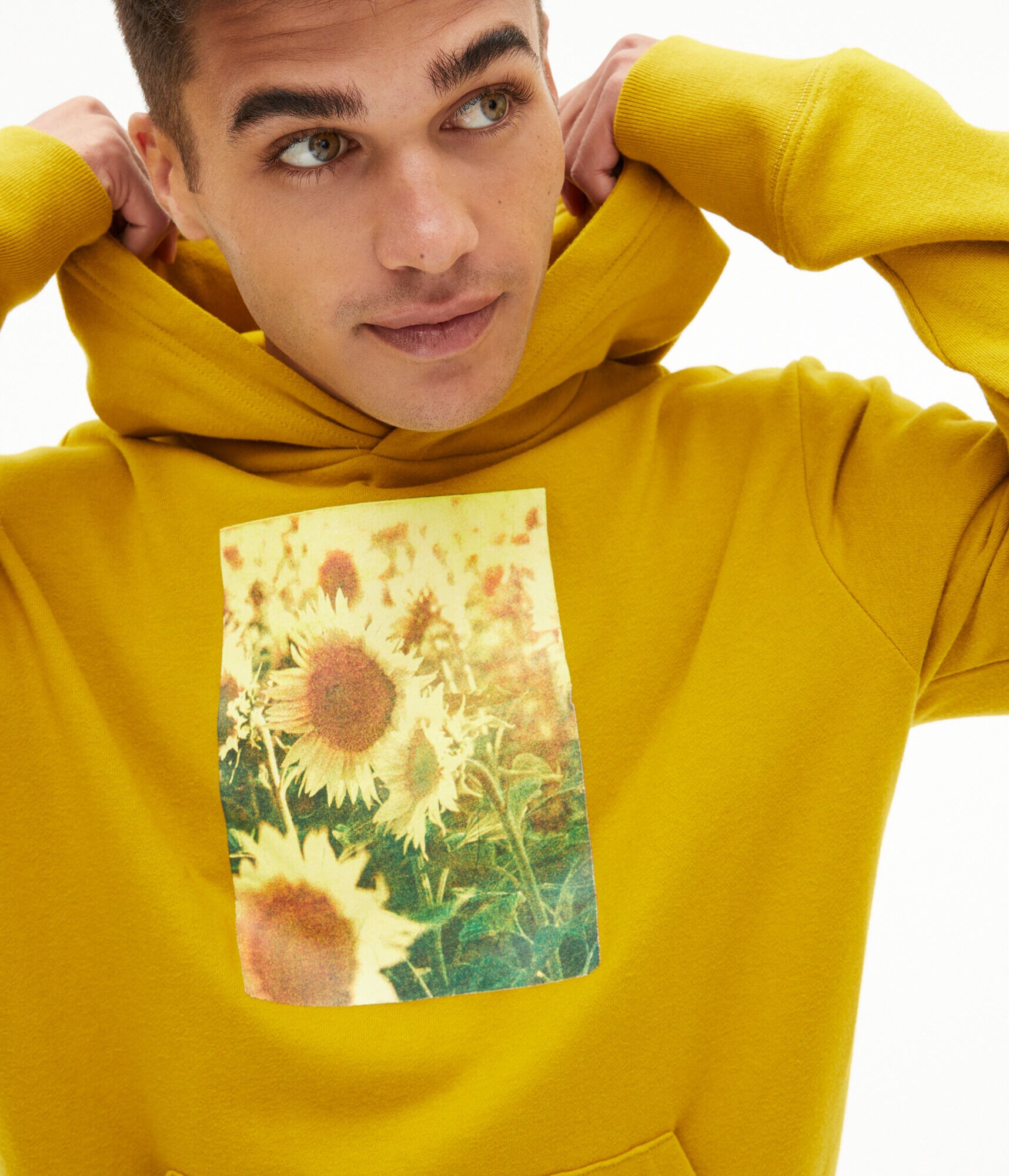 Sunflower Field Pullover Hoodie - Main Image