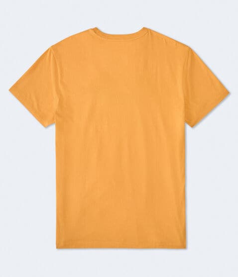 Aero Athletic Division Appliqué Graphic Tee