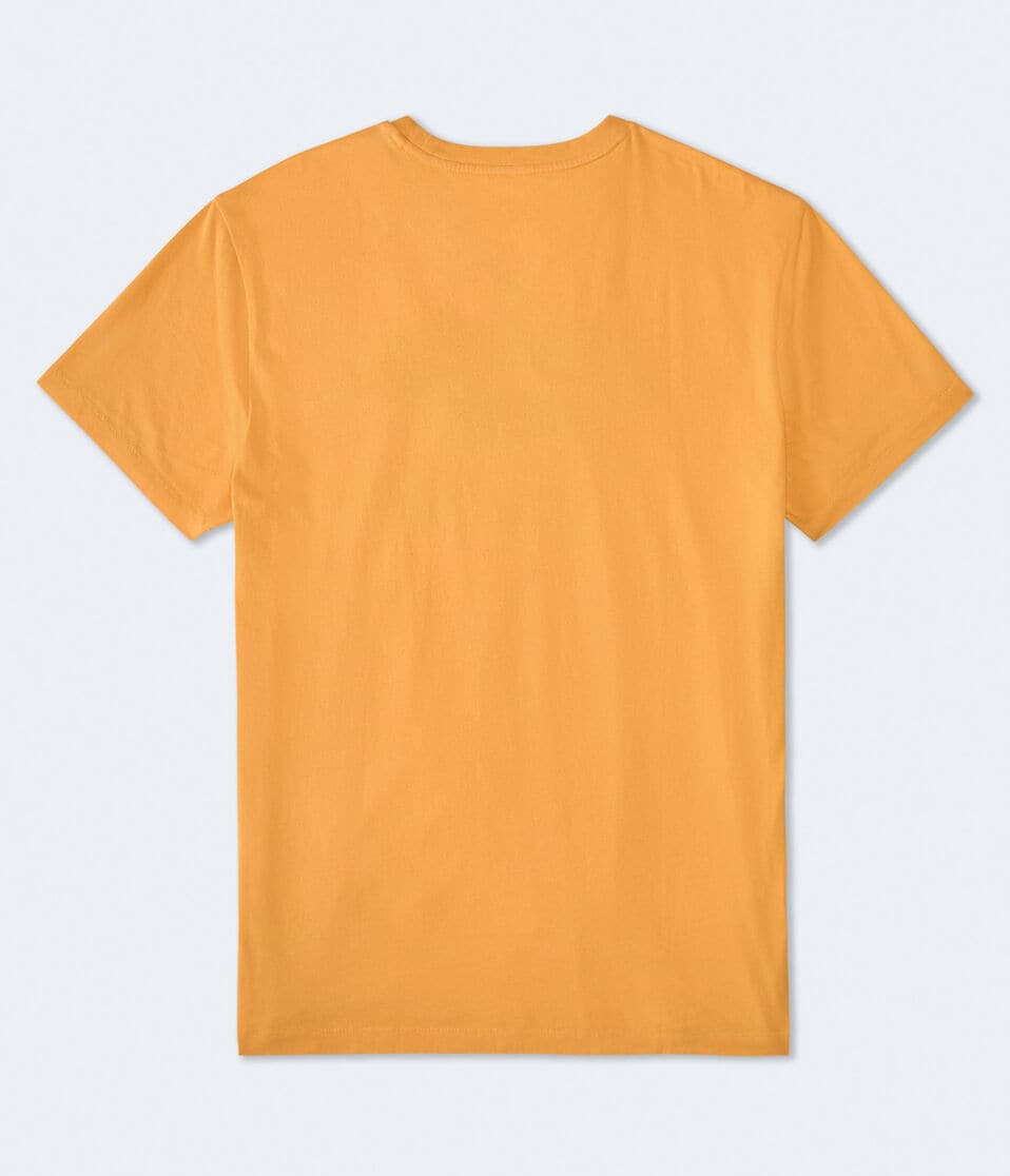 Aero Athletic Division Appliqué Graphic Tee