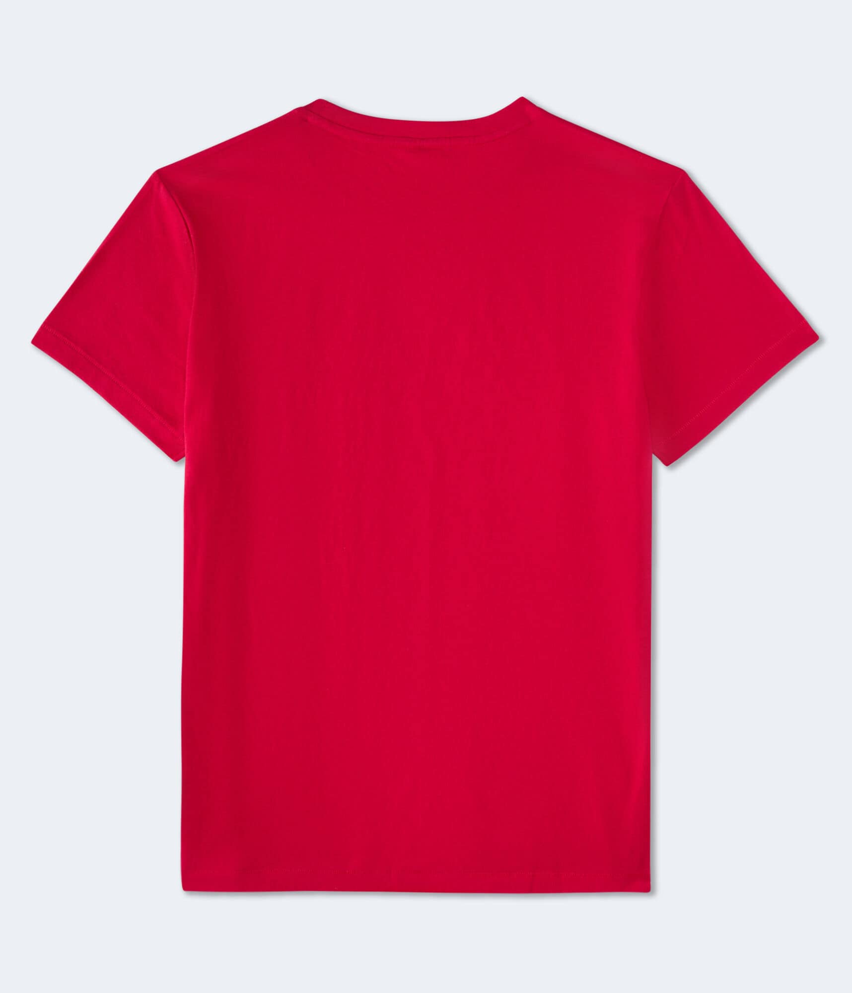 Aeropostale Vertical Appliqué Graphic Tee