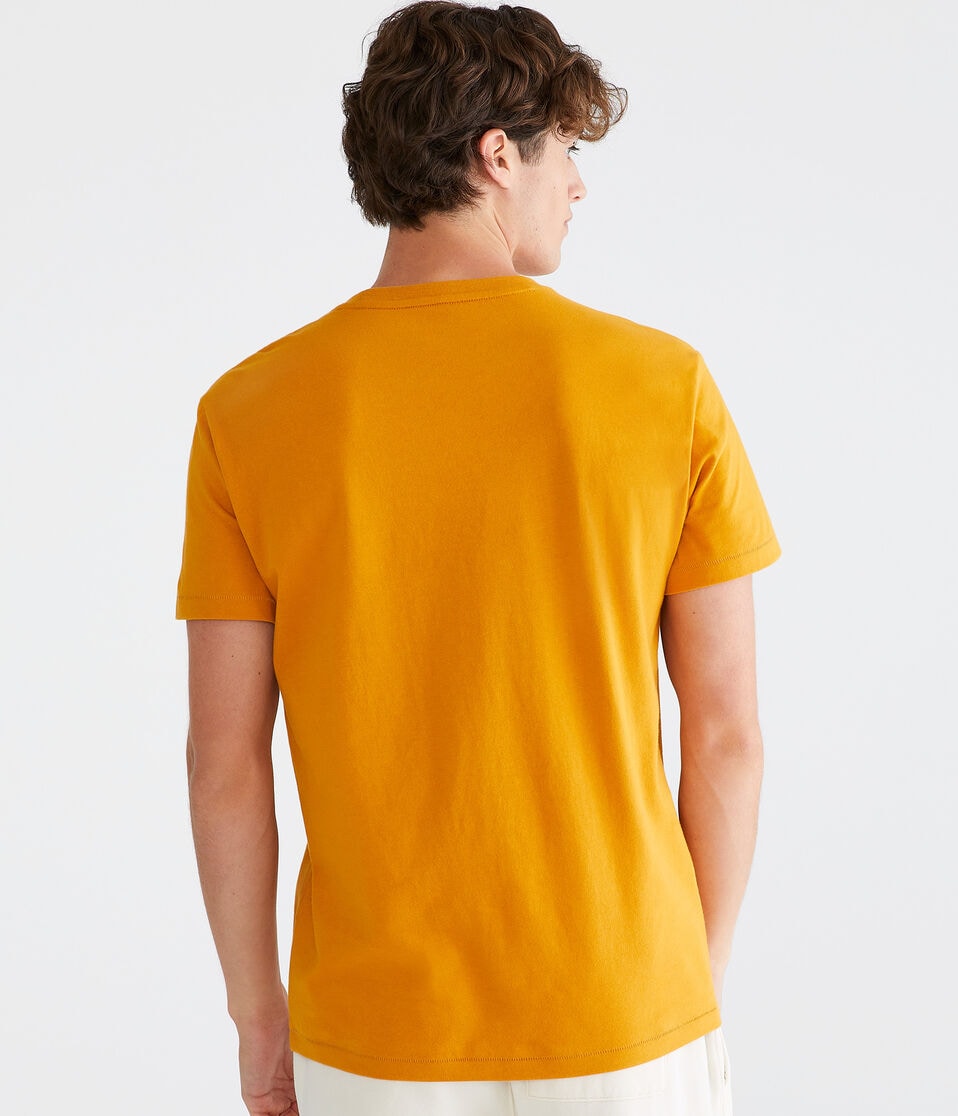 Aeropostale 87 Winged Foot Graphic Tee