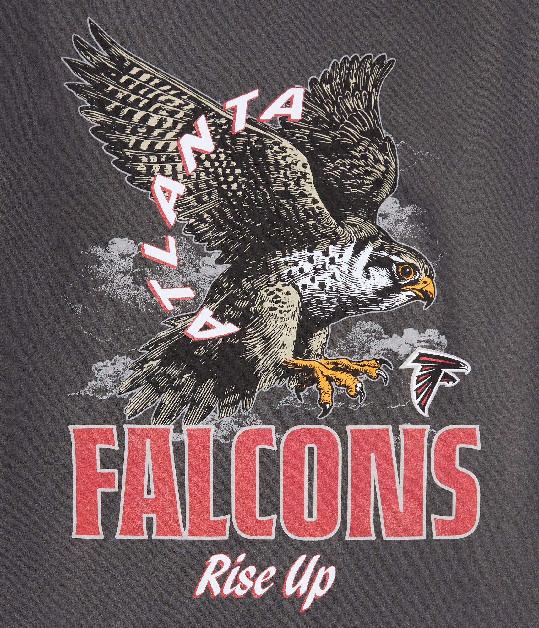 Atlanta Falcons Mascot Relaxed Graphic Tee