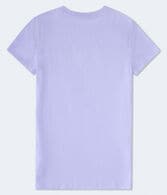 Aero New York Ribbon Flocked Graphic Tee