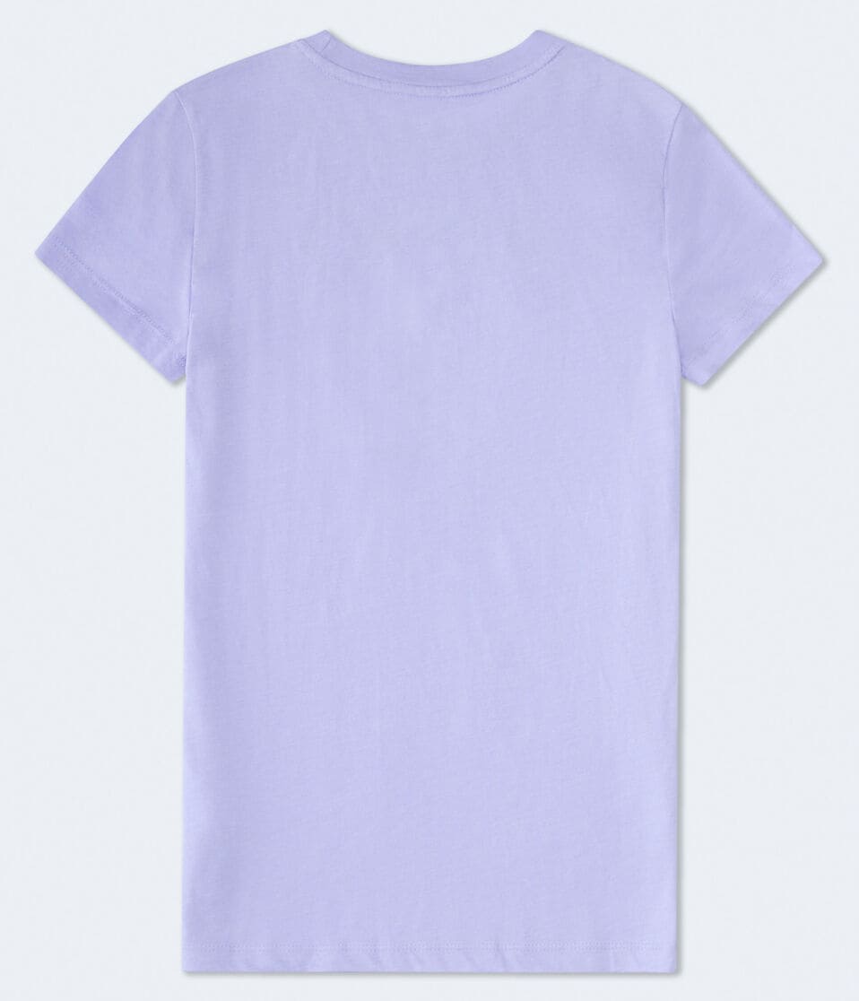 Aero New York Ribbon Flocked Graphic Tee
