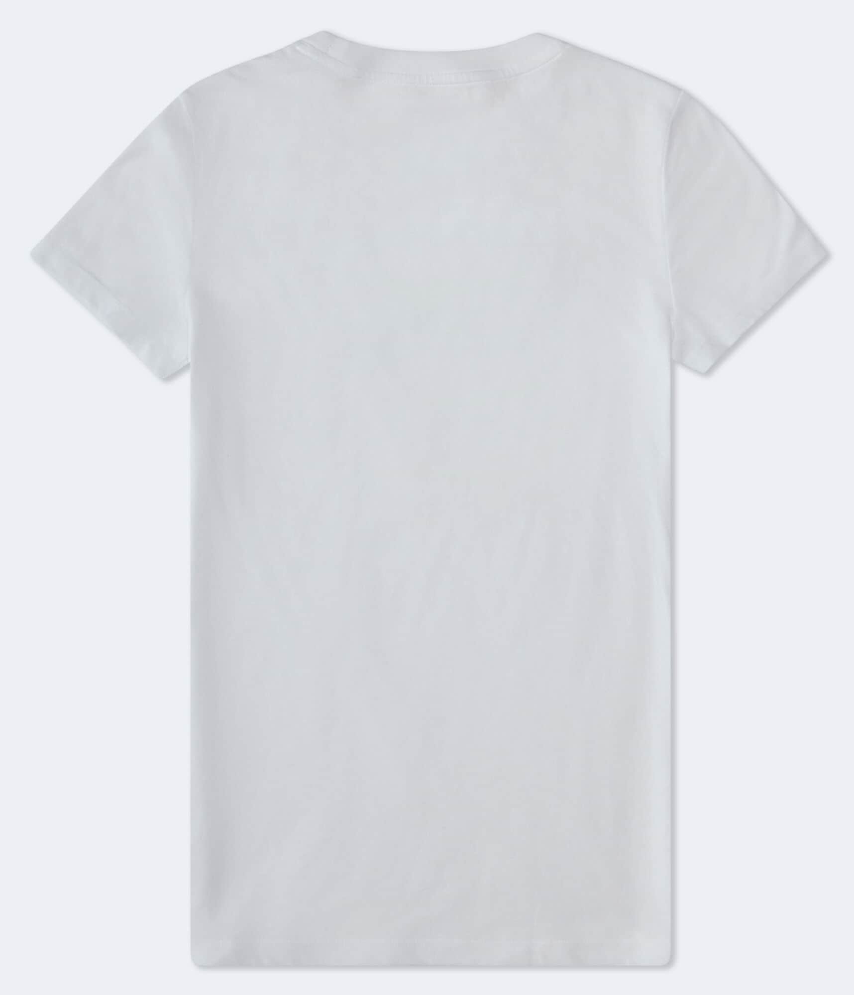 Aeropostale Butterfly Foil Graphic Tee