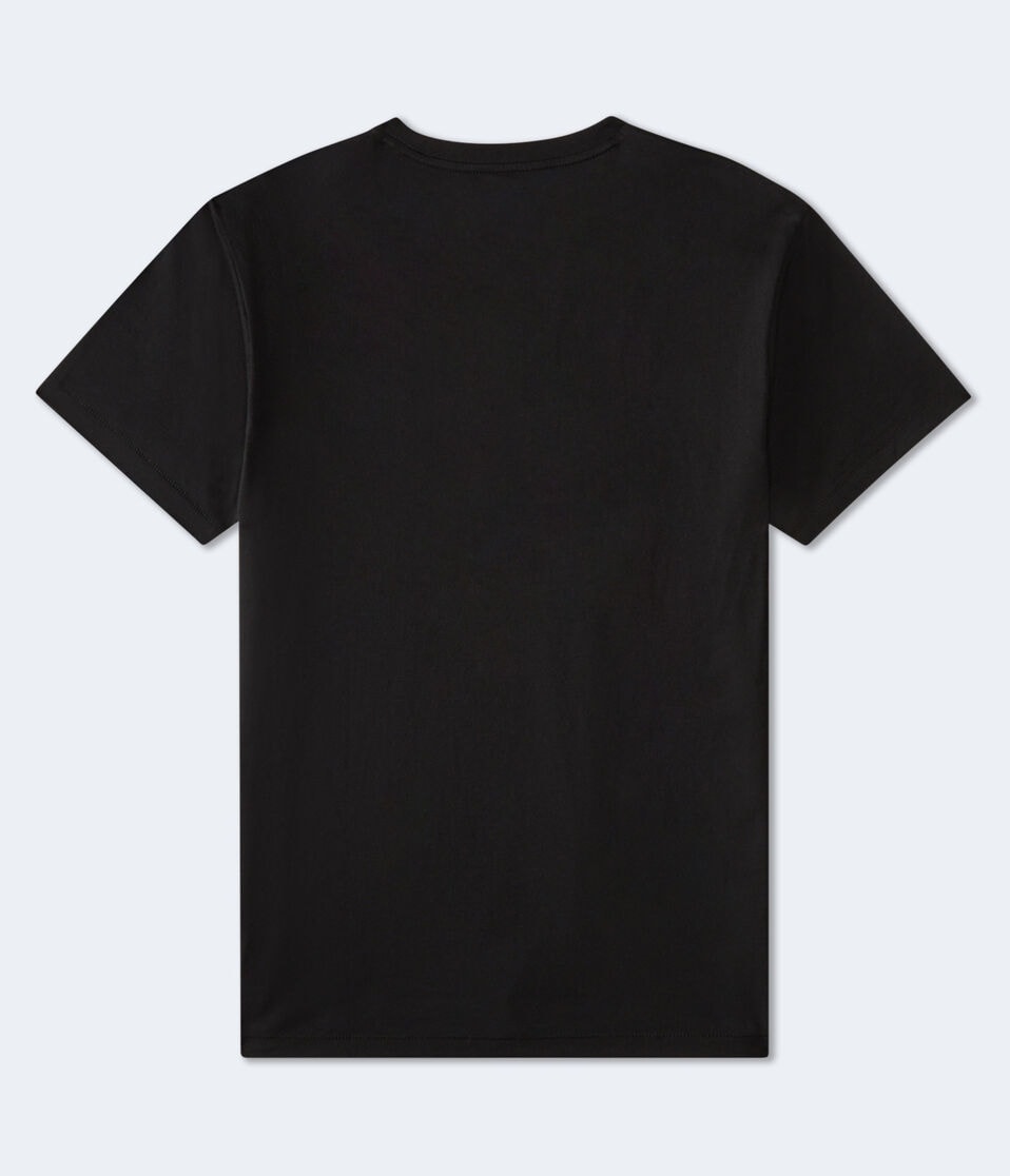 Aero NYC Liquid Logo Graphic Tee
