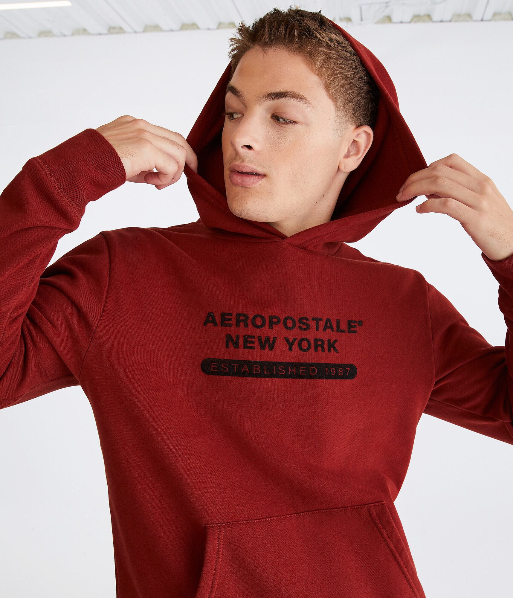 Aeropostale New York Pullover Hoodie