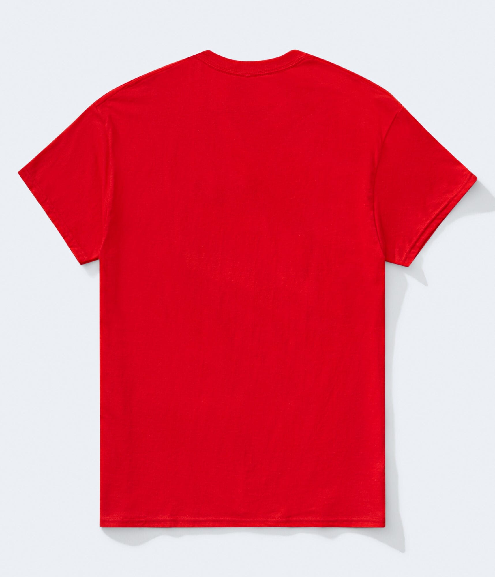 Winter Tweety Bird Graphic Tee