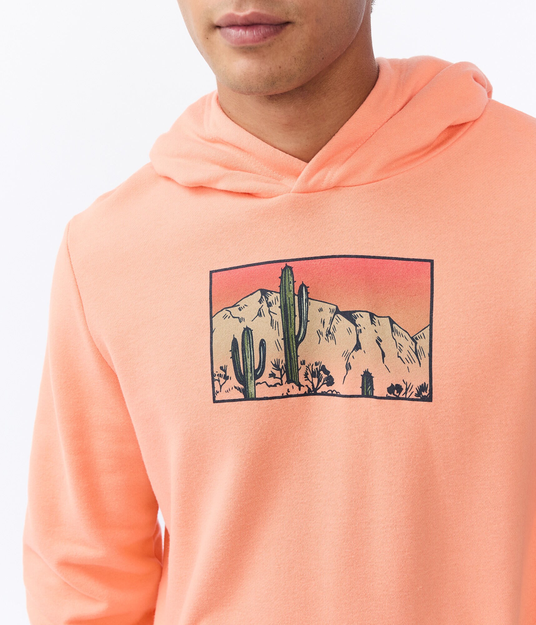 cactus pullover