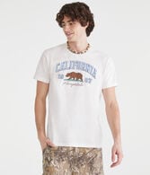 Aeropostale California Bear Appliqué Graphic Tee