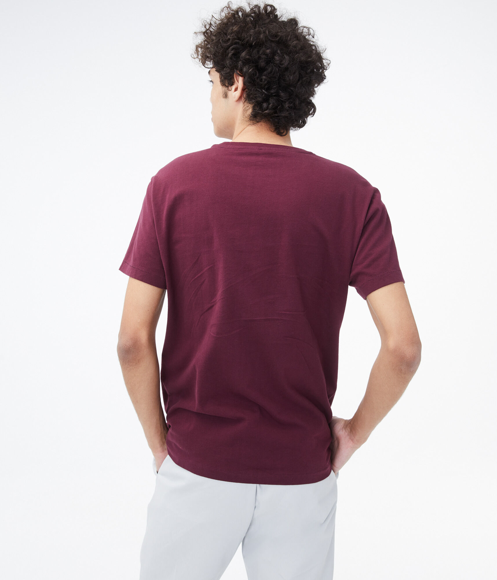 California Aero Bear Graphic Tee