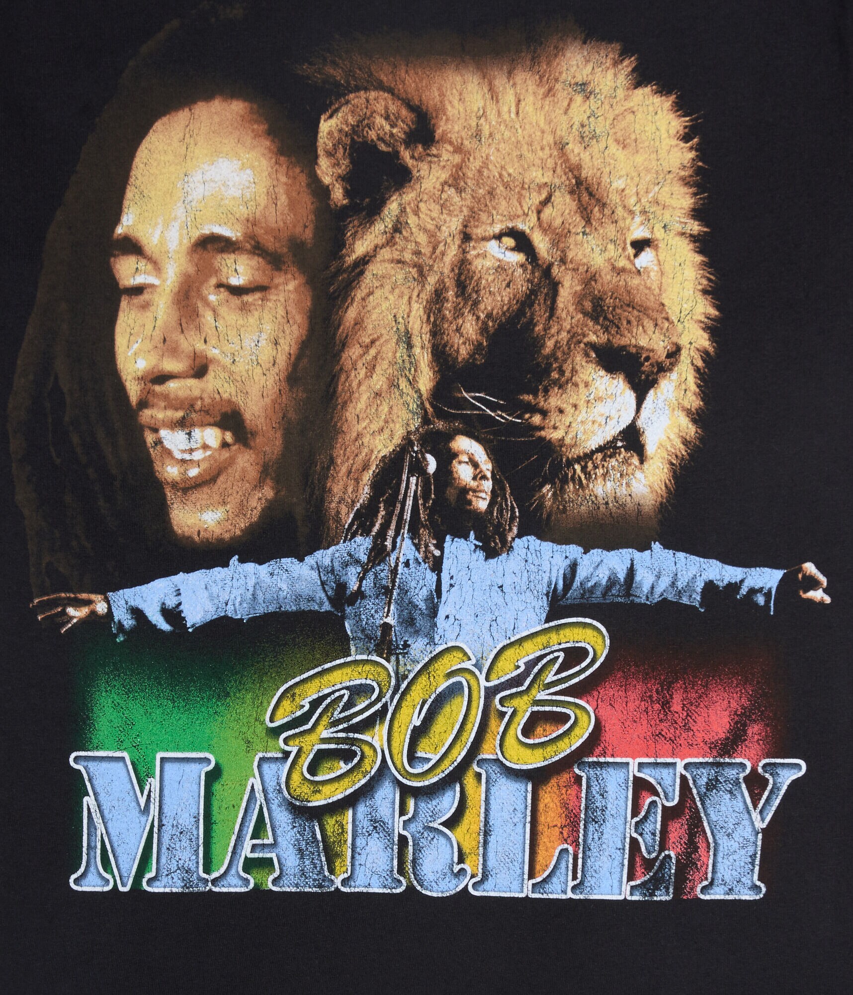 Bob Marley Lion Relaxed Graphic Tee