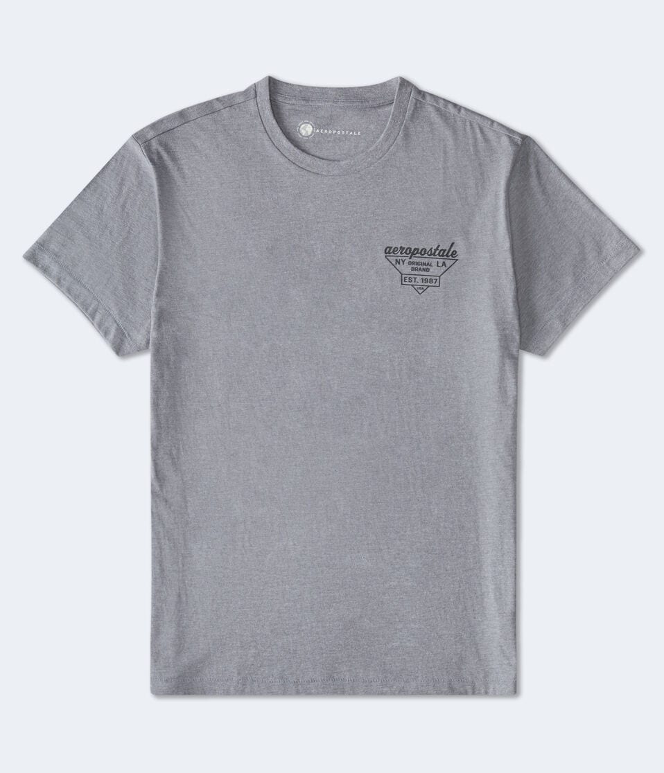 Aeropostale Triangle Logo Graphic Tee