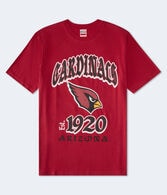 Arizona Cardinals Helmet Relaxed Graphic Tee