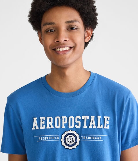 Aeropostale Bear Crest Appliqué Graphic Tee Aeropostale Bear Crest Appliqué Graphic Tee