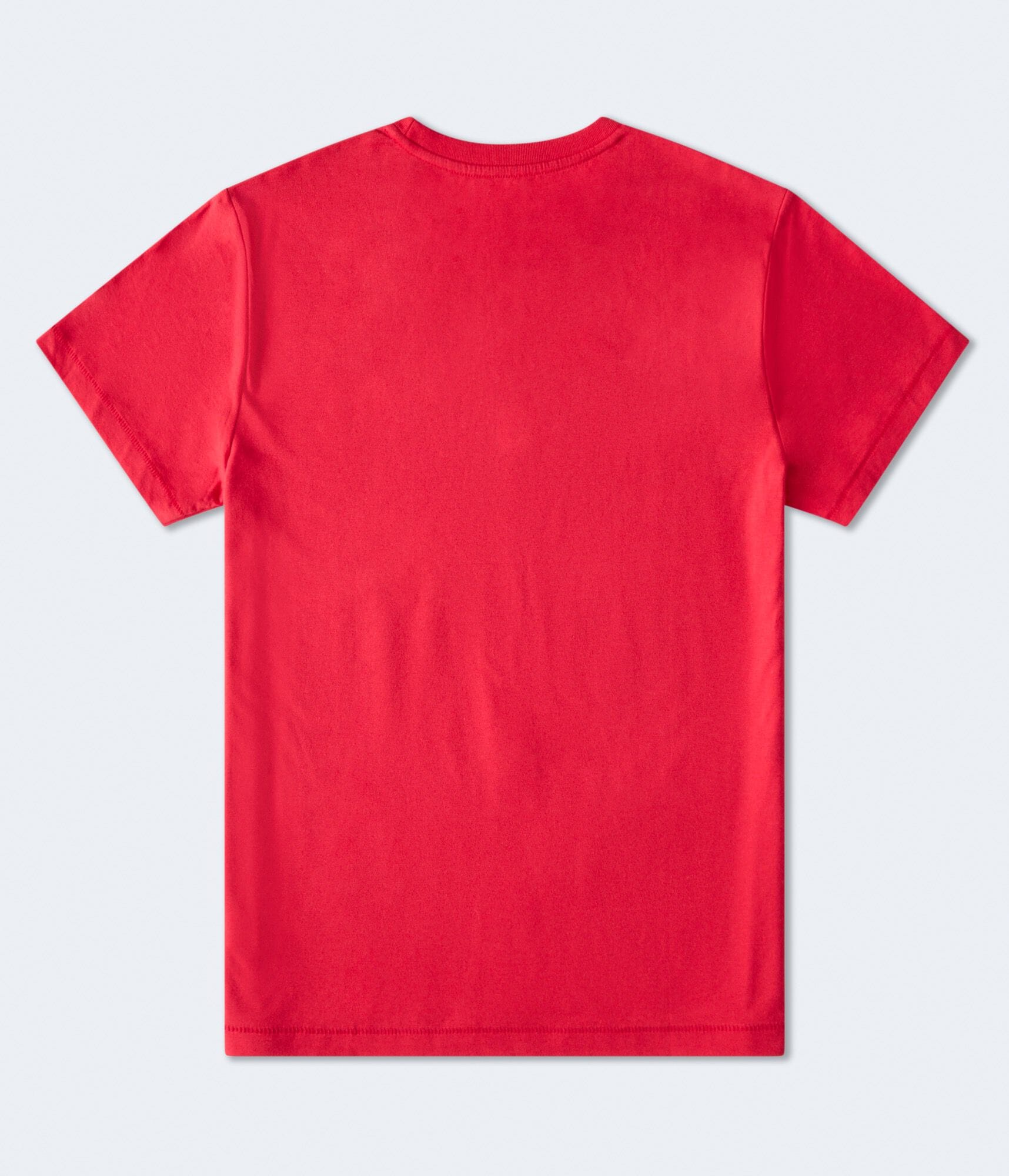 Aero Registered 1987 Graphic Tee