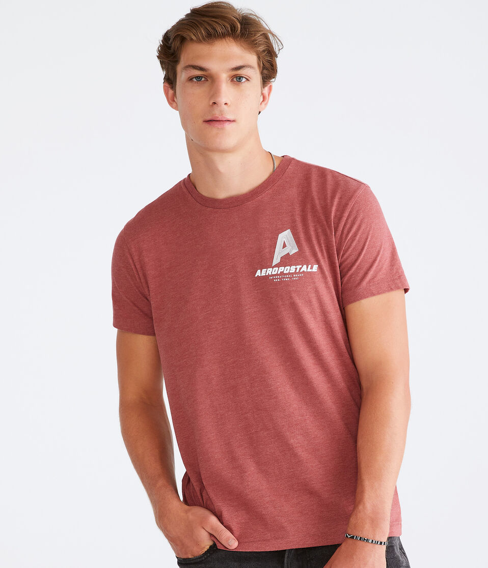 Aeropostale International Brand Graphic Tee