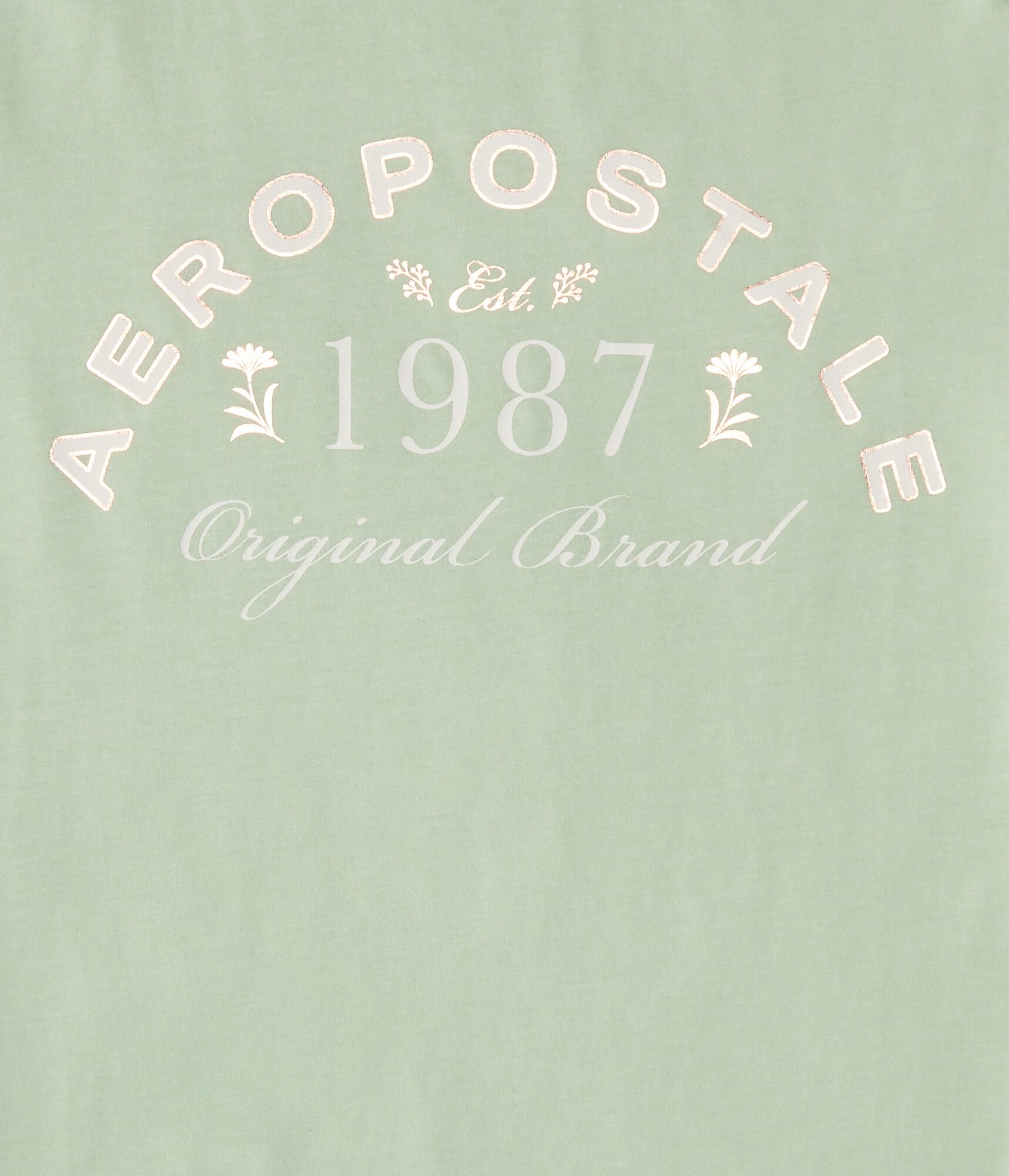 Aeropostale 1987 Foil Graphic Tee