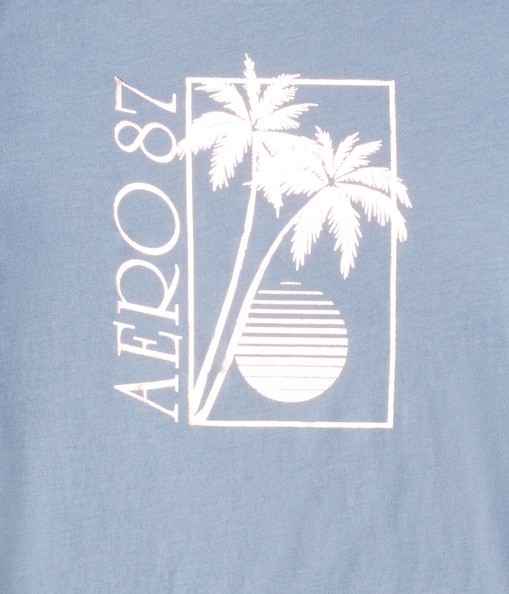 Aero 87 Palm Tree Foil Graphic Tee