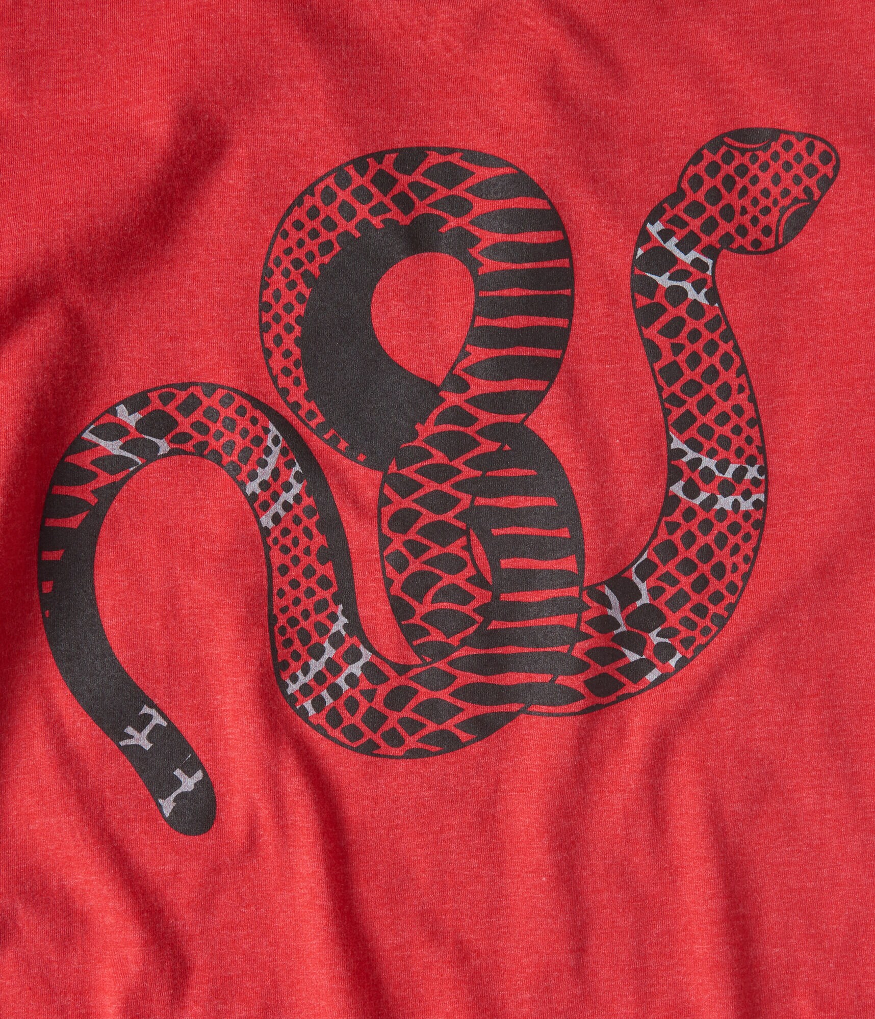 Snake Graphic Tee