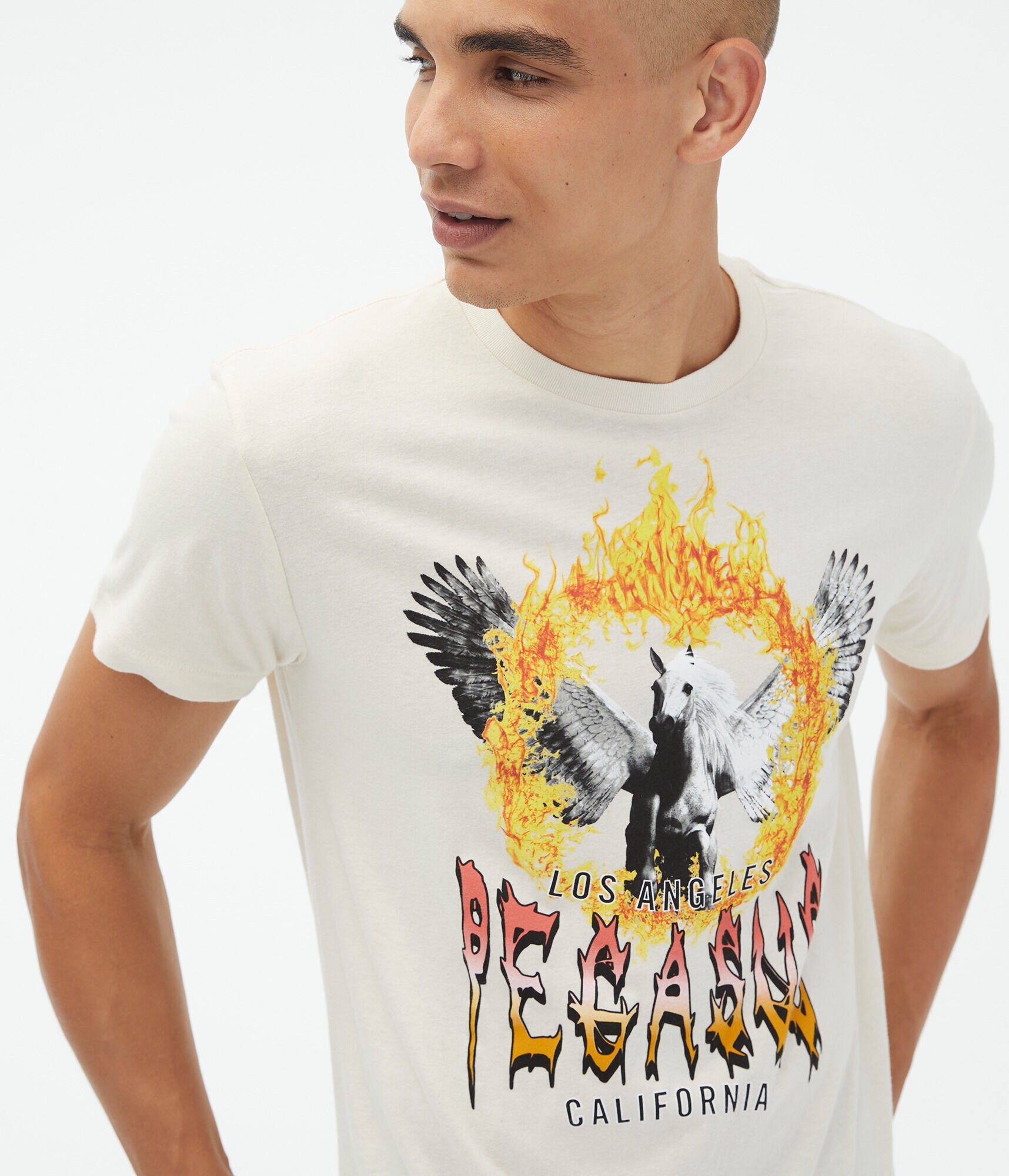 Pegasus Fire Graphic Tee