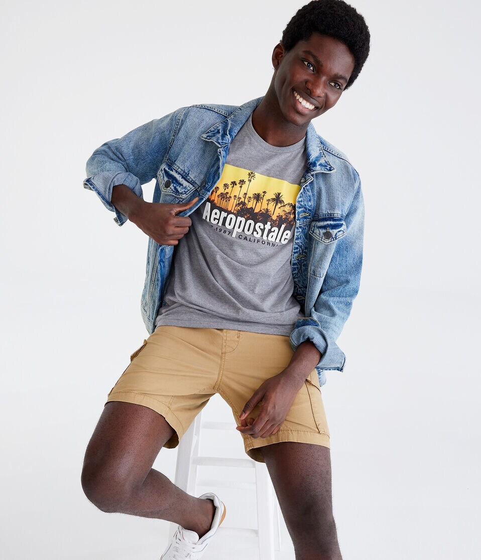 Aeropostale Cali Palms Appliqué Graphic Tee